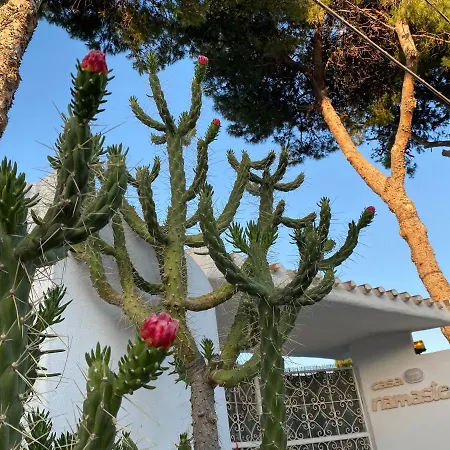 Frühstückspension Casa Namaste Porto Columbu - Perd'E Sali