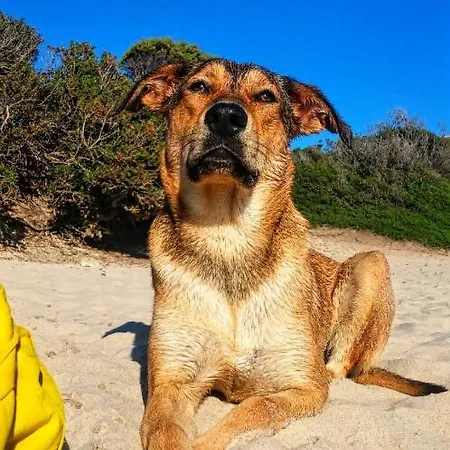 Casa Namaste فندق مبيت وإفطار