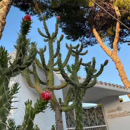 Casa Namaste Porto Columbu - Perd'E Sali